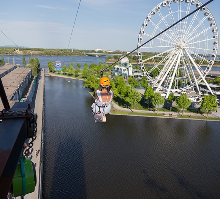 MTL Zipline