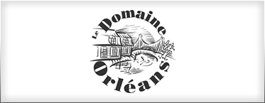 logo-domaine-orleans1