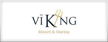 logo-le-viking